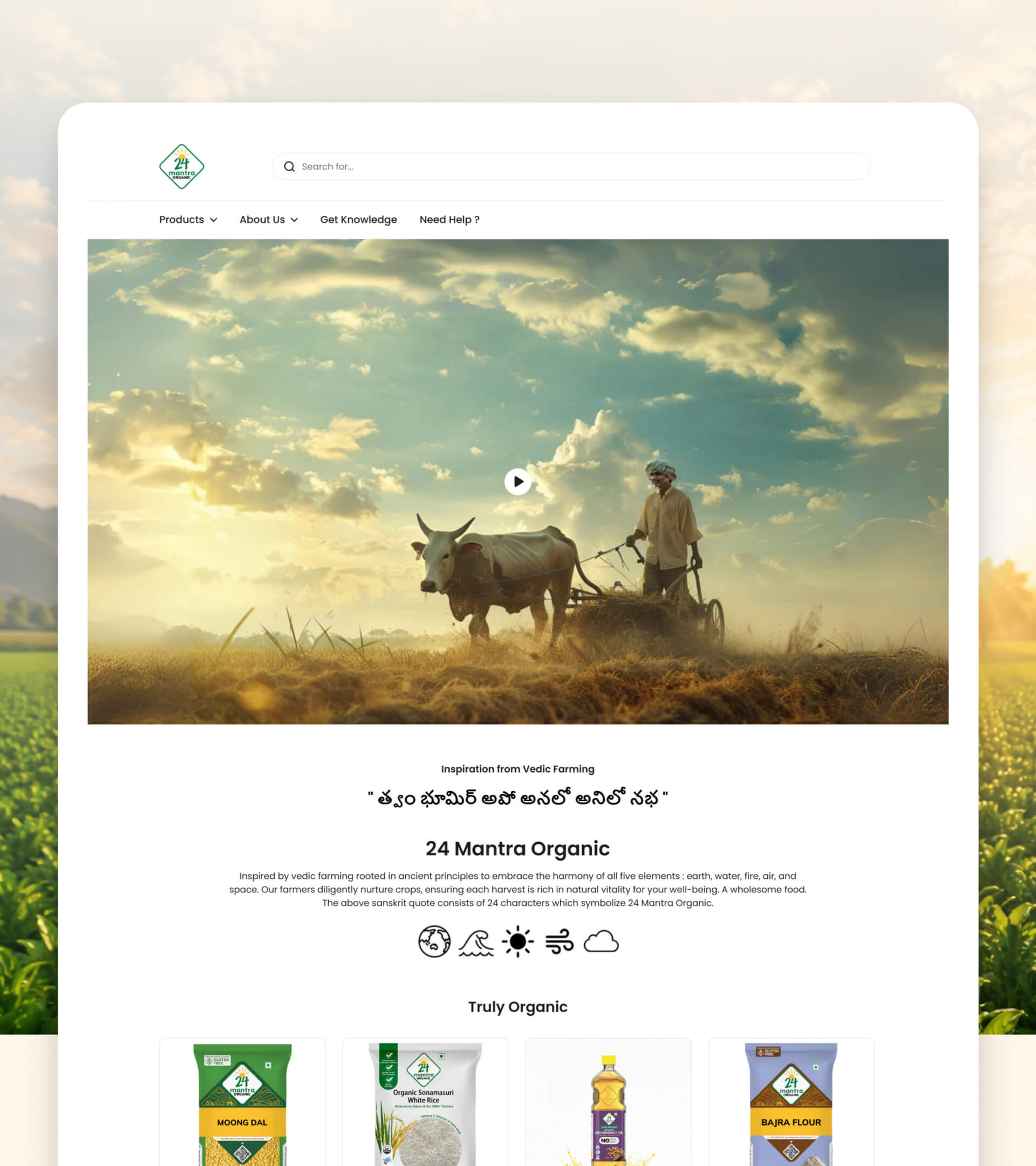Pixels_Web_Work-24_Mantra_Organic-4