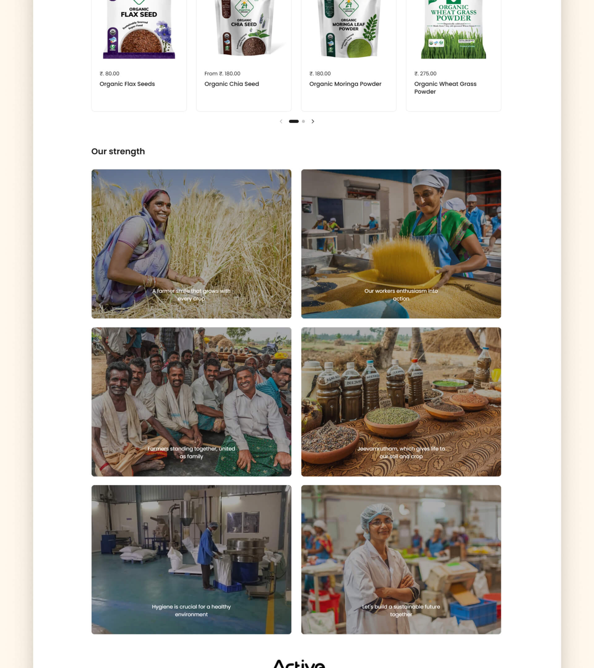 Pixels_Web_Work-24_Mantra_Organic-6