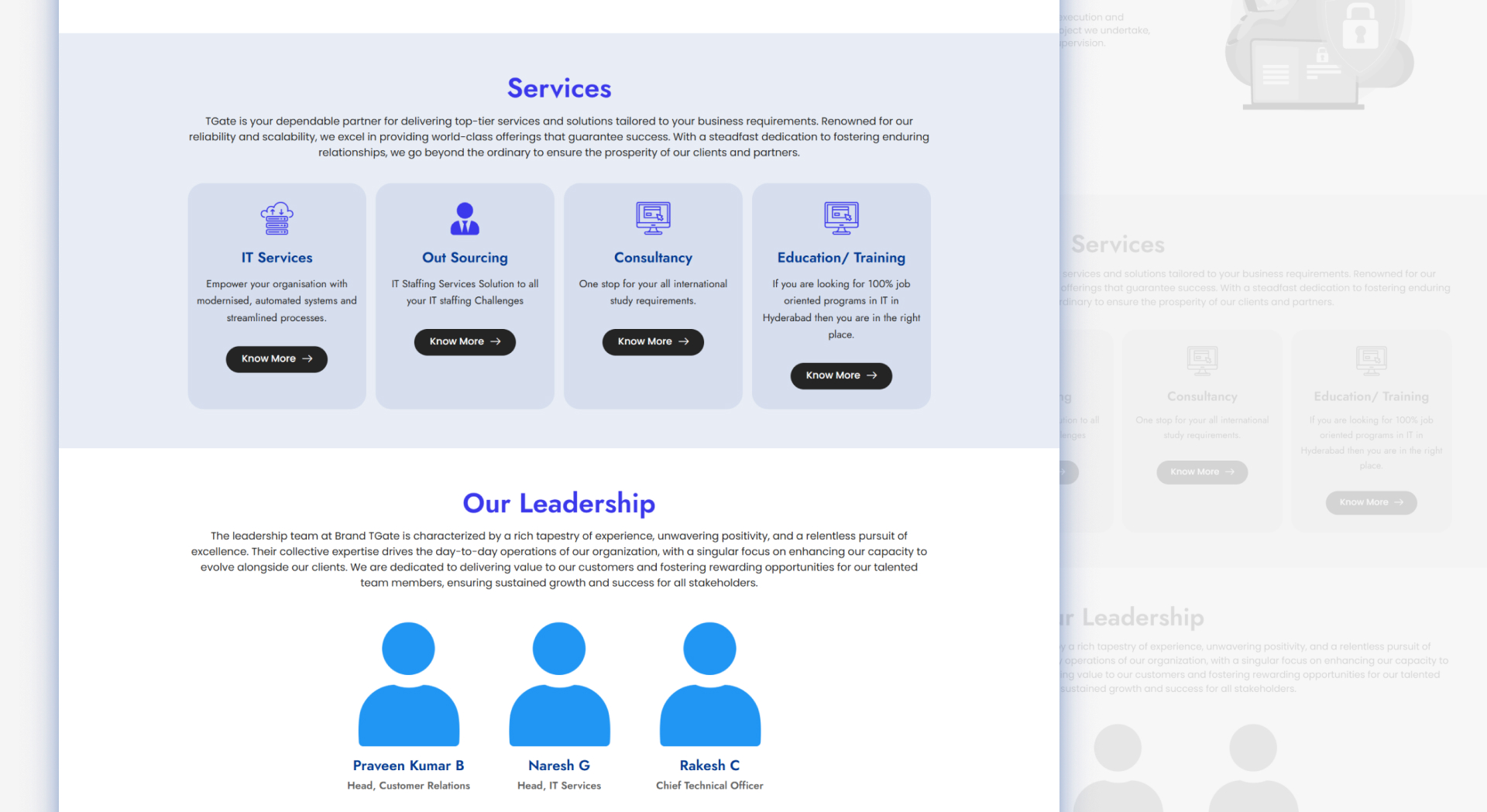 Pixels_WebWork-TGate_Solutions-6