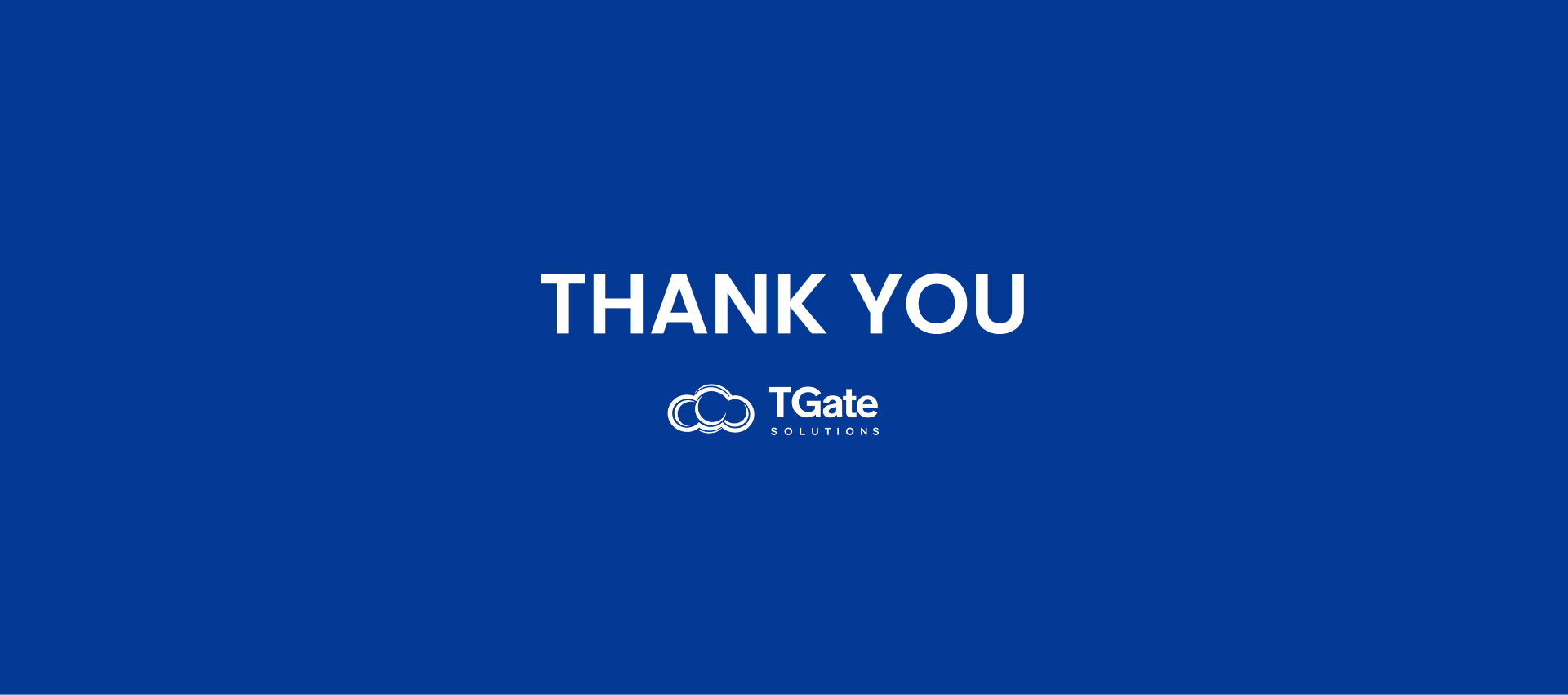 Pixels_WebWork-TGate_Solutions-8